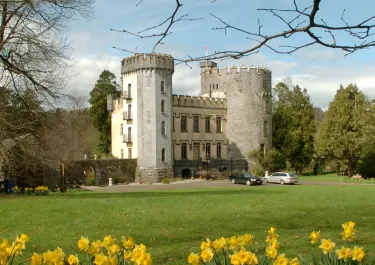 Municipal District of Thurles