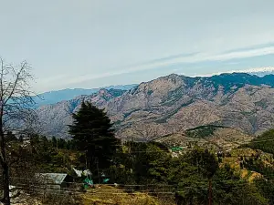 Wildflower Hall, An Oberoi Resort, Shimla