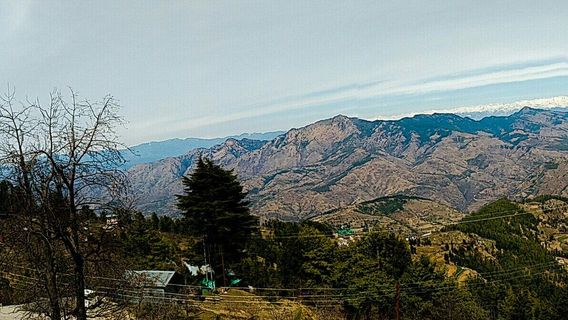 Wildflower Hall, An Oberoi Resort, Shimla