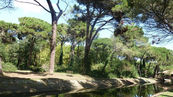 Parco Naturale di Cervia