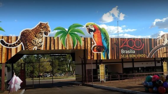 Brasília