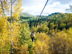 Highlands Aerial Park