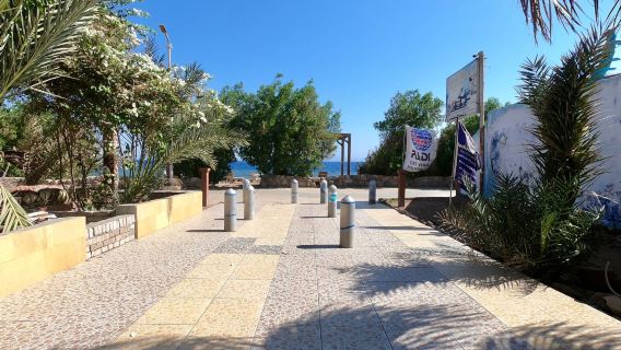 Bedouin Divers Dahab