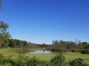 Thomson Causeway Recreation Area