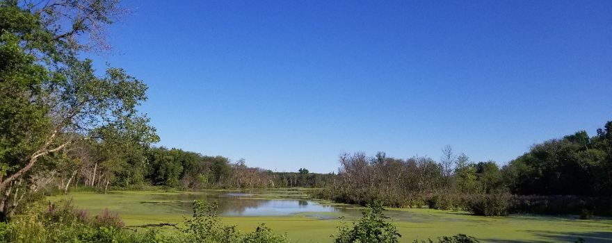 Thomson Causeway Recreation Area
