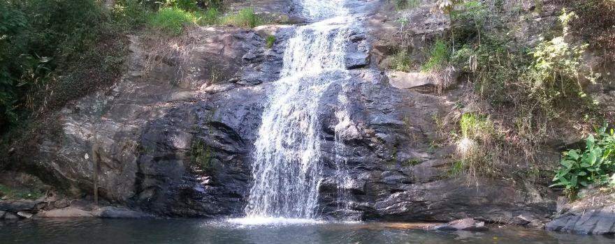 Passa Quatro National Forest