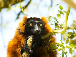 Zoo de Labenne