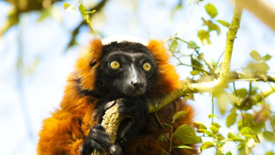 Zoo de Labenne