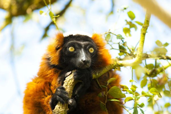 Zoo de Labenne
