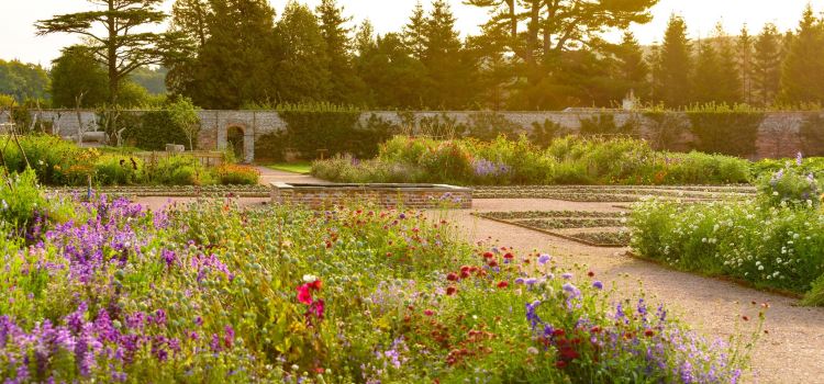Gordon Castle Walled Garden (Café closed Mon/Tues)