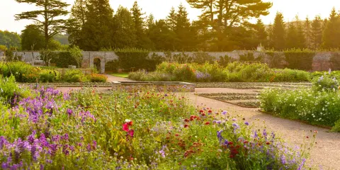 Gordon Castle Walled Garden (cafe closed mon/tues)