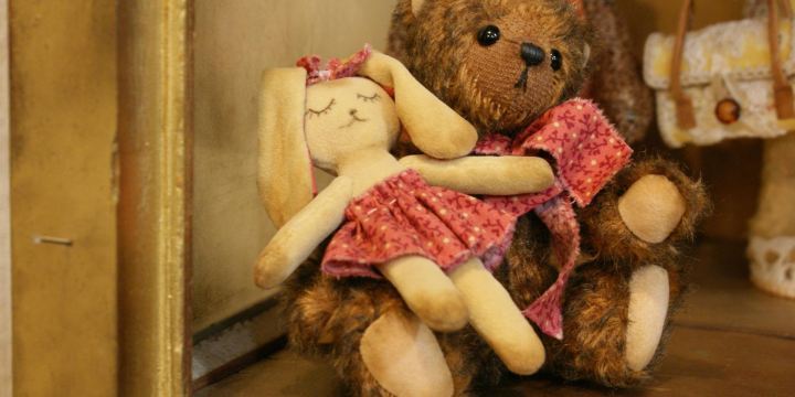 My Favourite Bear Museum