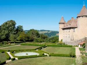 Virieu Castle