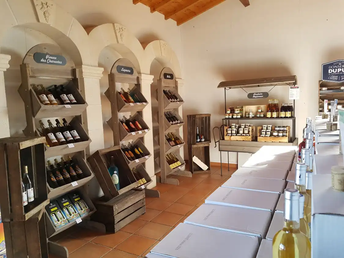 Hotels near VIGNOBLE VINCENT