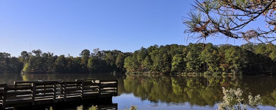 Apex Community Park (Lake Trail Entrance)