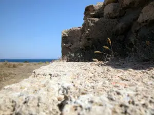 Museo e Parco Archeologico Nazionale di Capo Colonna