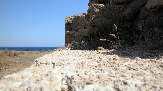 Museo e Parco Archeologico Nazionale di Capo Colonna