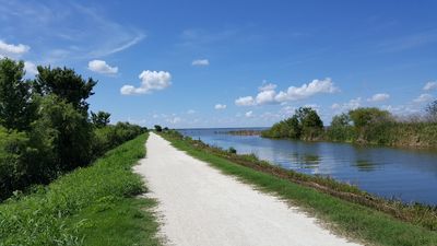 Lake Apopka Wildlife Drive