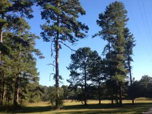 Elinor Klapp-Phipps Park