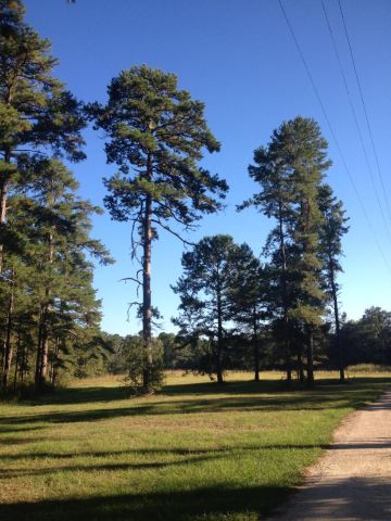 Elinor Klapp-Phipps Park