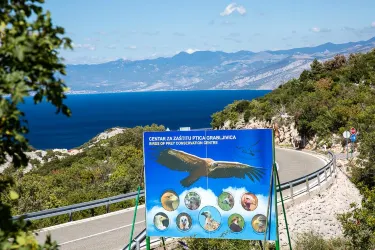 Senj