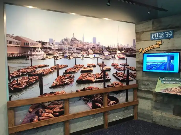 Hotels near Sea Lion Landing