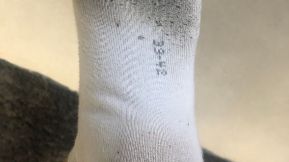 Jungle Indoor Playland