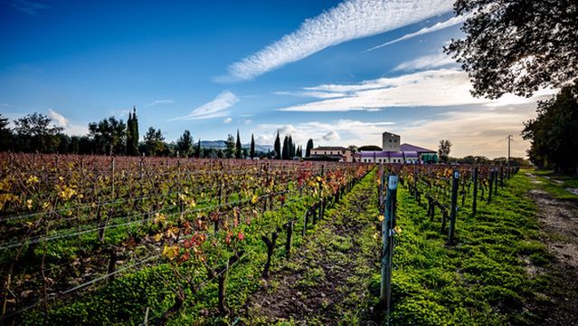 Caccia Al Piano 1868