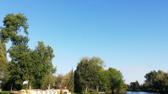 Le jardin des vertueux