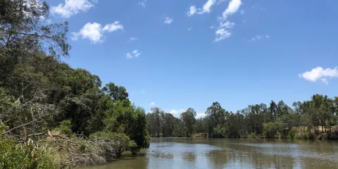 Alexander Clark Park