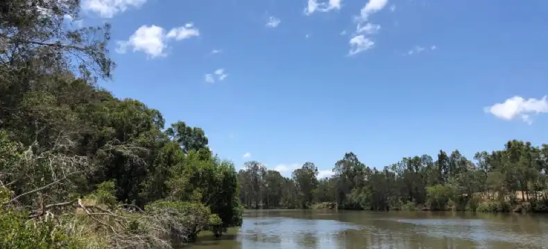 Hotels in Loganholme