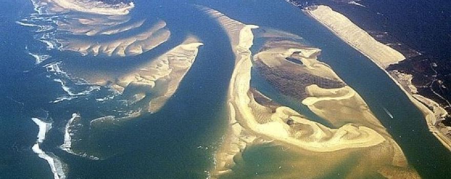 Bassin d'Arcachon