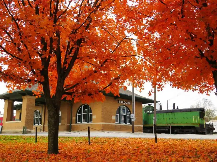 Hotels in Baldwin City