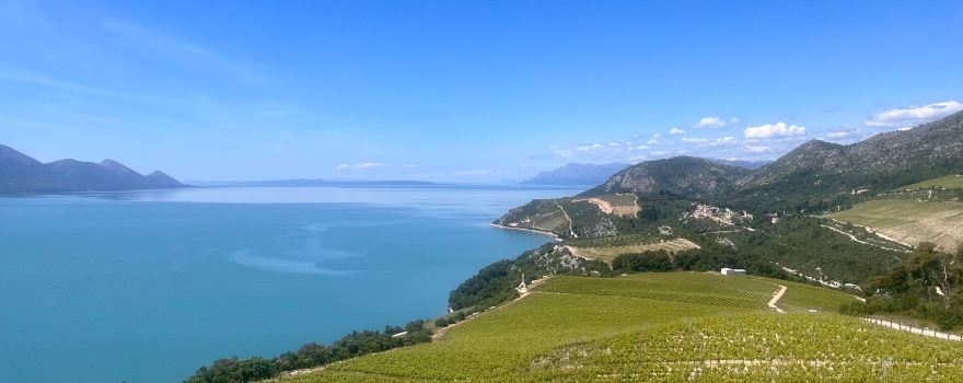 Winery Terra Madre
