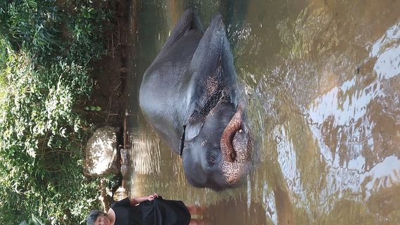 Karandupona - Rambukkana Rd