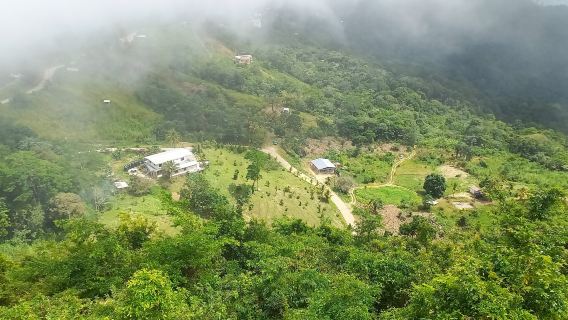 La Vigie Paramin Lookout
