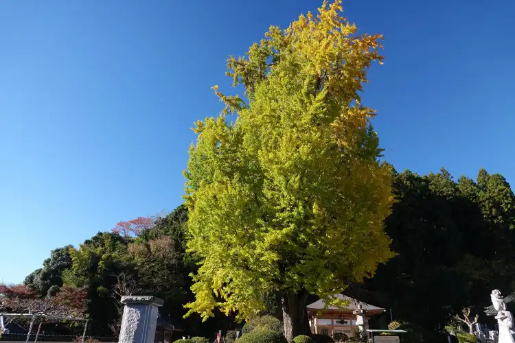 Hotels in Hitachiomiya