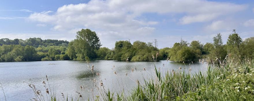 Stocker's Lake Nature Reserve