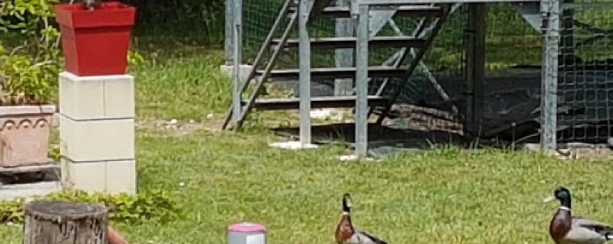Camping du Lac