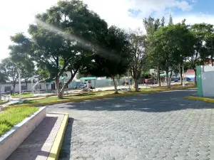 Niño Park