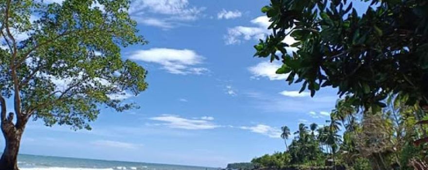 Tiongco’s Property