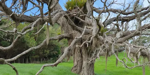 斯坎德雷特地區公園