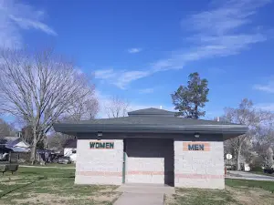 Ava Park Director