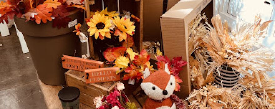 Blackwood Garden Centre