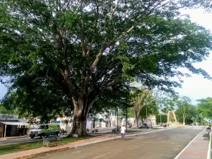 Las Calzadas Park