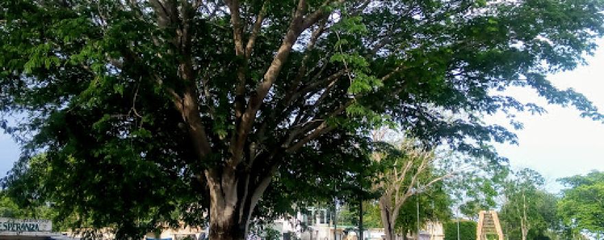 Las Calzadas Park