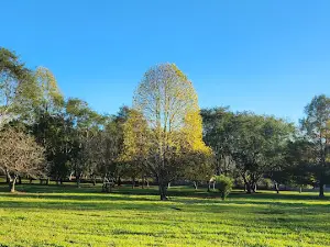 Parque da Prainha
