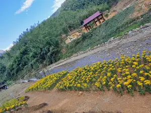 Động Bo Cúng