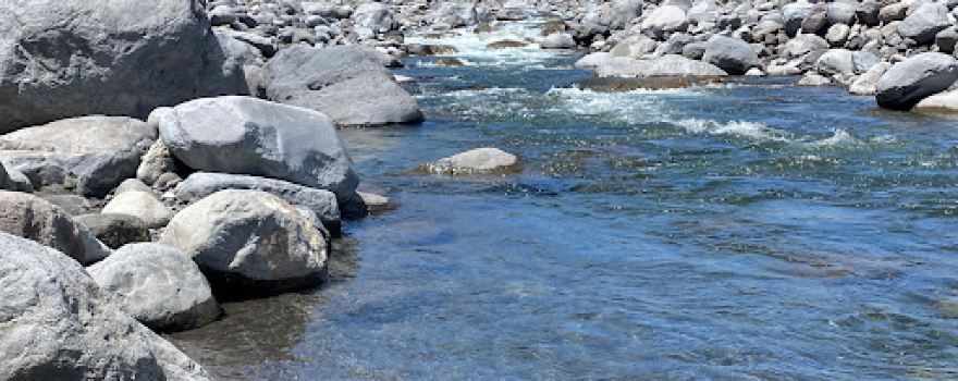 The Stony River (Hangatahua) Walkway