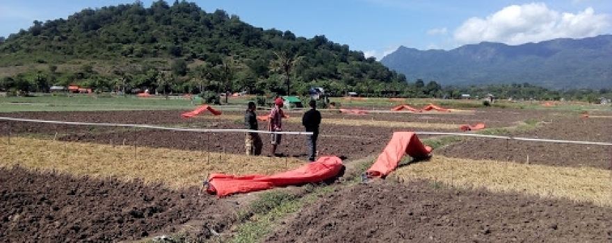 Lapangan Sepak Bola Brangkolong